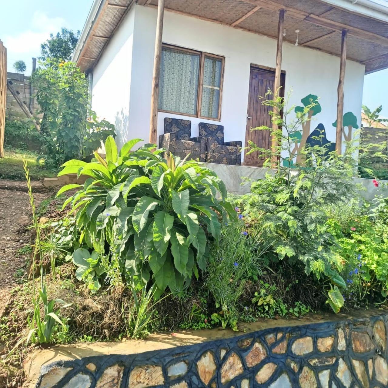 Ruhija Gorilla Guest House Kabale Exteriér fotografie